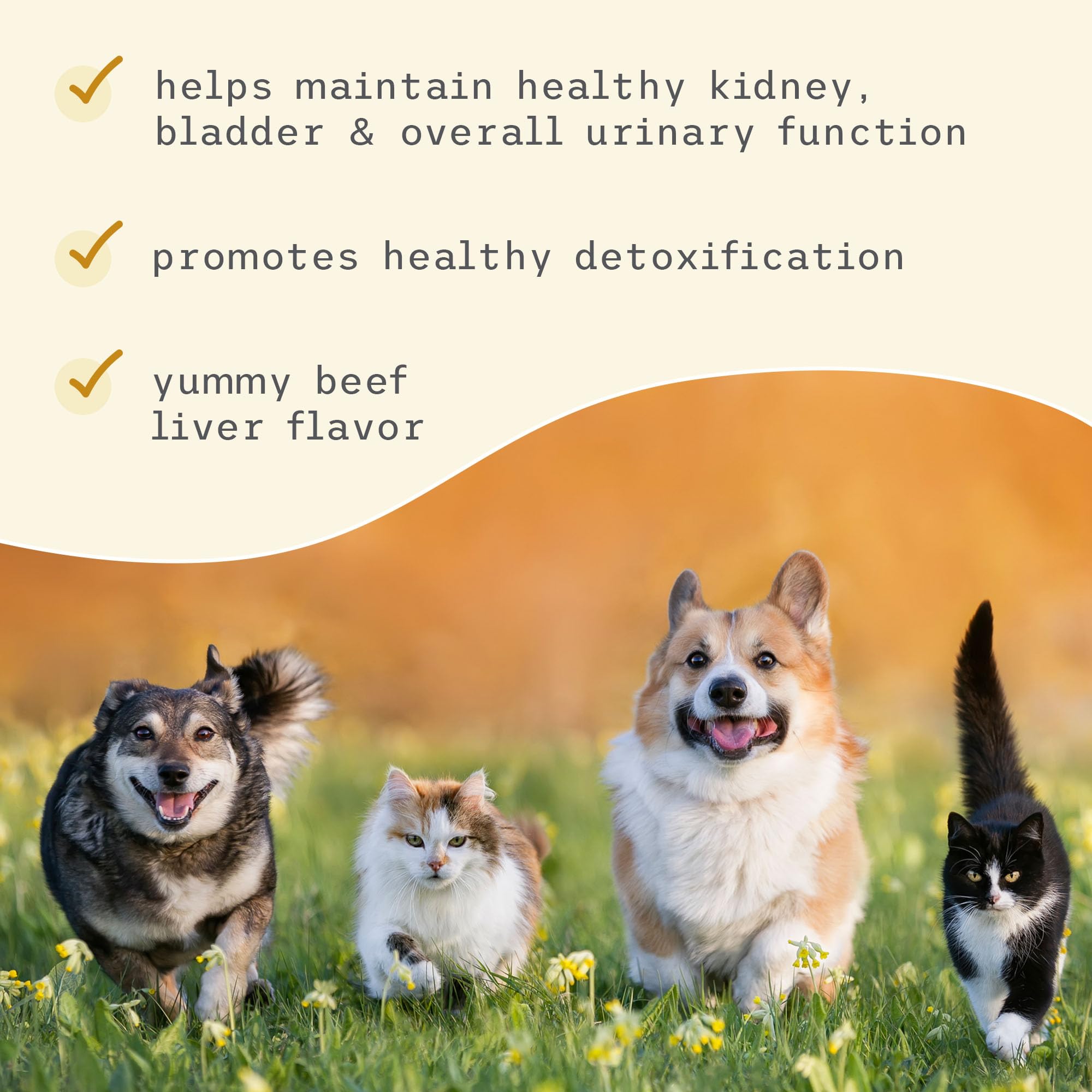 Bark & Whiskers Bladder Support, 3.17 Oz. (90 g), 90 Scoops, Supports Urinary Tract Health, with Cranbery & D-Mannose, Vet Formulated, Non-GMO, Dr. Mercola - Image 5