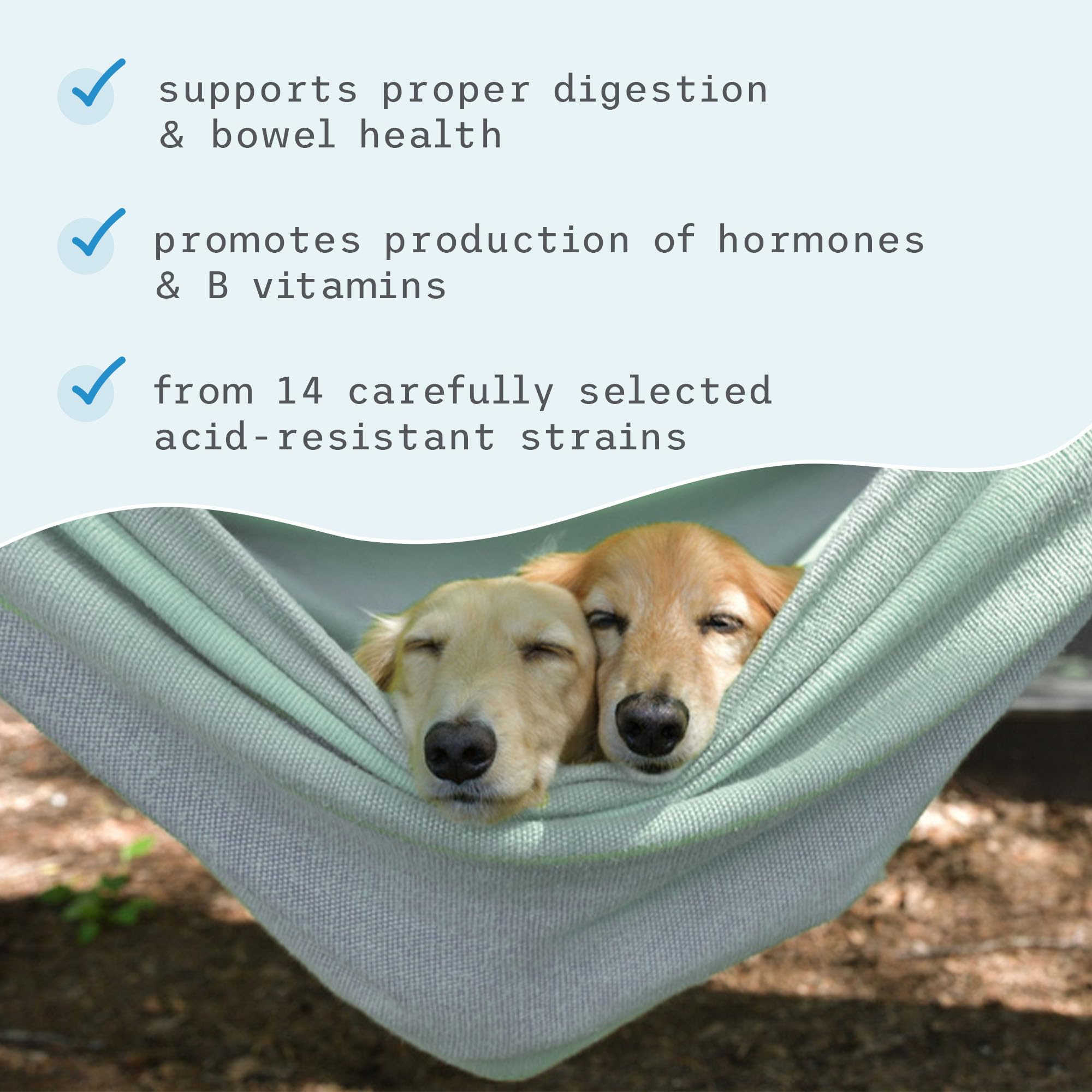 Bark & Whiskers, Complete Probiotics, for Cats and Dogs, 3.17 oz (90 g), Supports Immune Function, Digestive Support, Non GMO, Soy Free, Gluten Free - Image 5