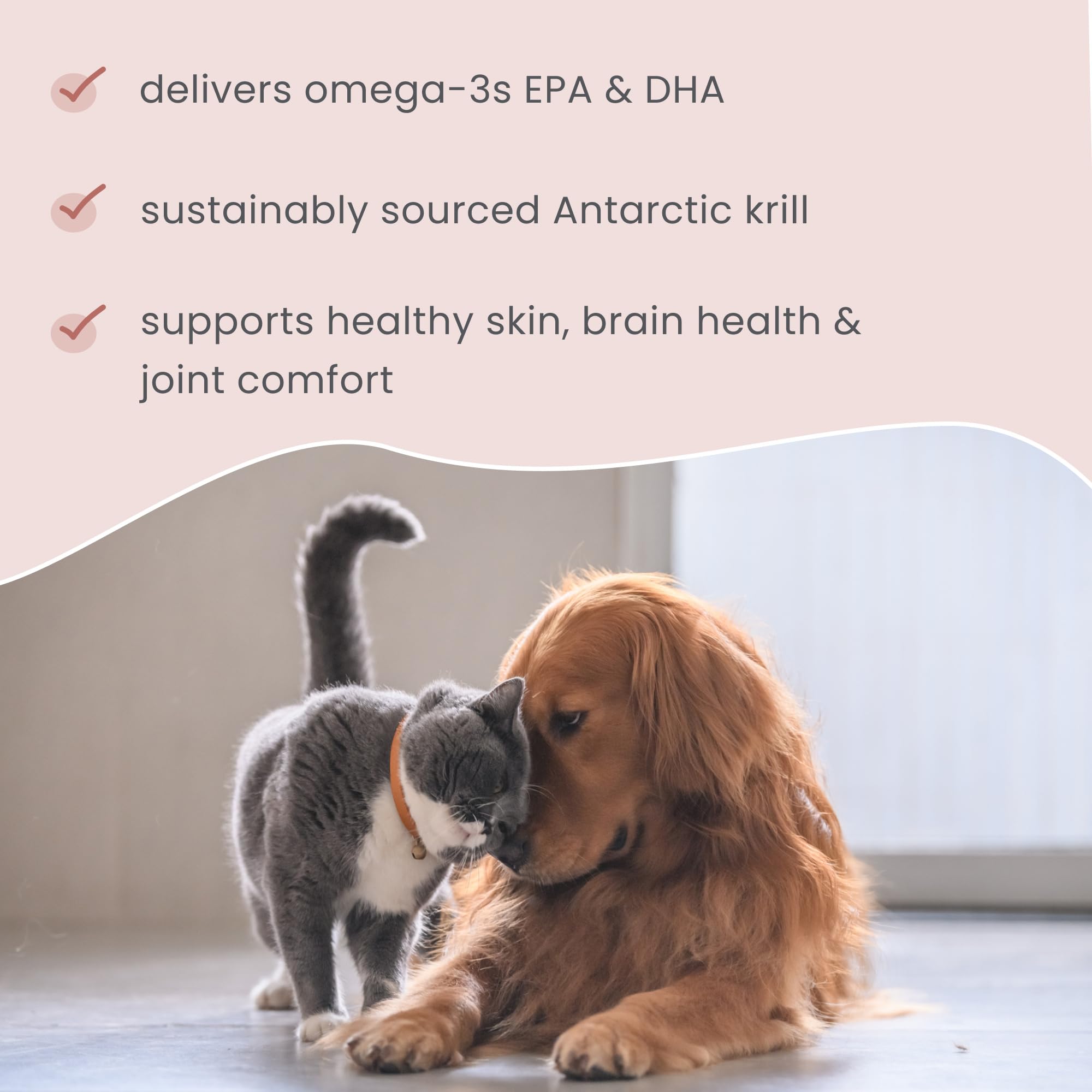 Bark & Whiskers Krill Bites - Omega-3 Fatty Acid Support - Sustainably-Sourced Antarctic Krill - Low Carb - Soft Chews for Dogs & Cats - 60 Chews - Image 4