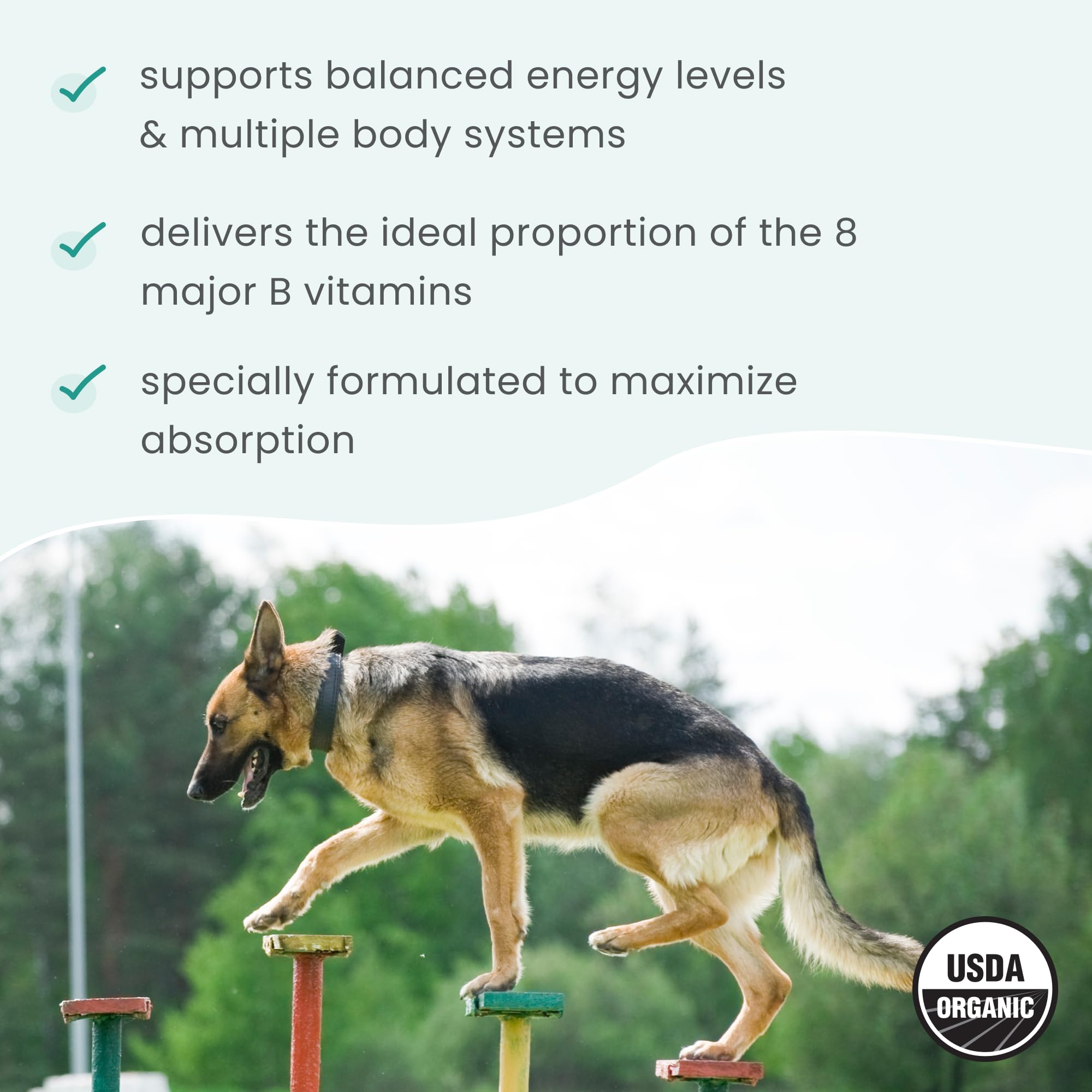 Bark & Whiskers Organic Vitamin B Complex - B Vitamins for Energy & Nervous System Support - for Cats & Dogs - USDA Certified - 0.85 oz - Image 5