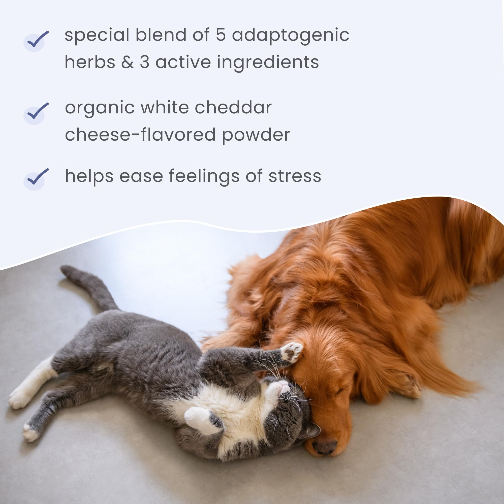 Bark & Whiskers Stress Support - Calm Support for Dogs & Cats - with Adaptogenic Herbs - L-Theanine & Ashwagandha - Cheddar Cheese Flavor - 1.29 oz. (102 Scoops) - Image 5