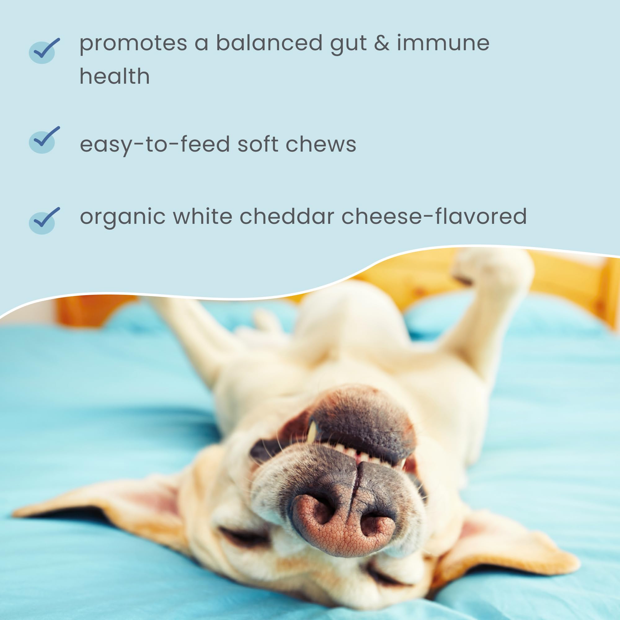 Dr. Mercola Bark & Whiskers Gut Restore Bites, 6.34oz (180 g), Supports Digestive and Immune System, Non-GMO - Image 5