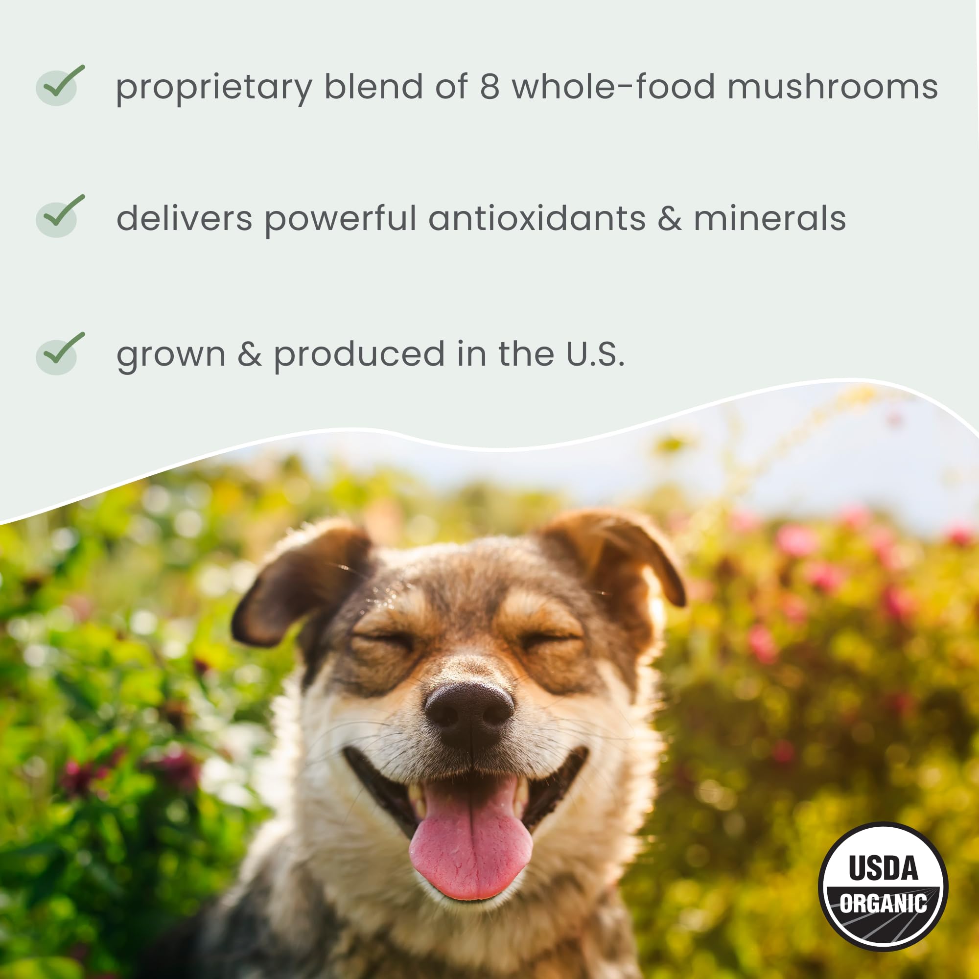 Dr. Mercola Bark & Whiskers Organic Fermented Mushroom Blend - Cat & Dog Supplement - Supports Digestive & Immune Health - Free from Additives, Filler & Gluten - 2.11 oz. (60 Scoops) - Image 5