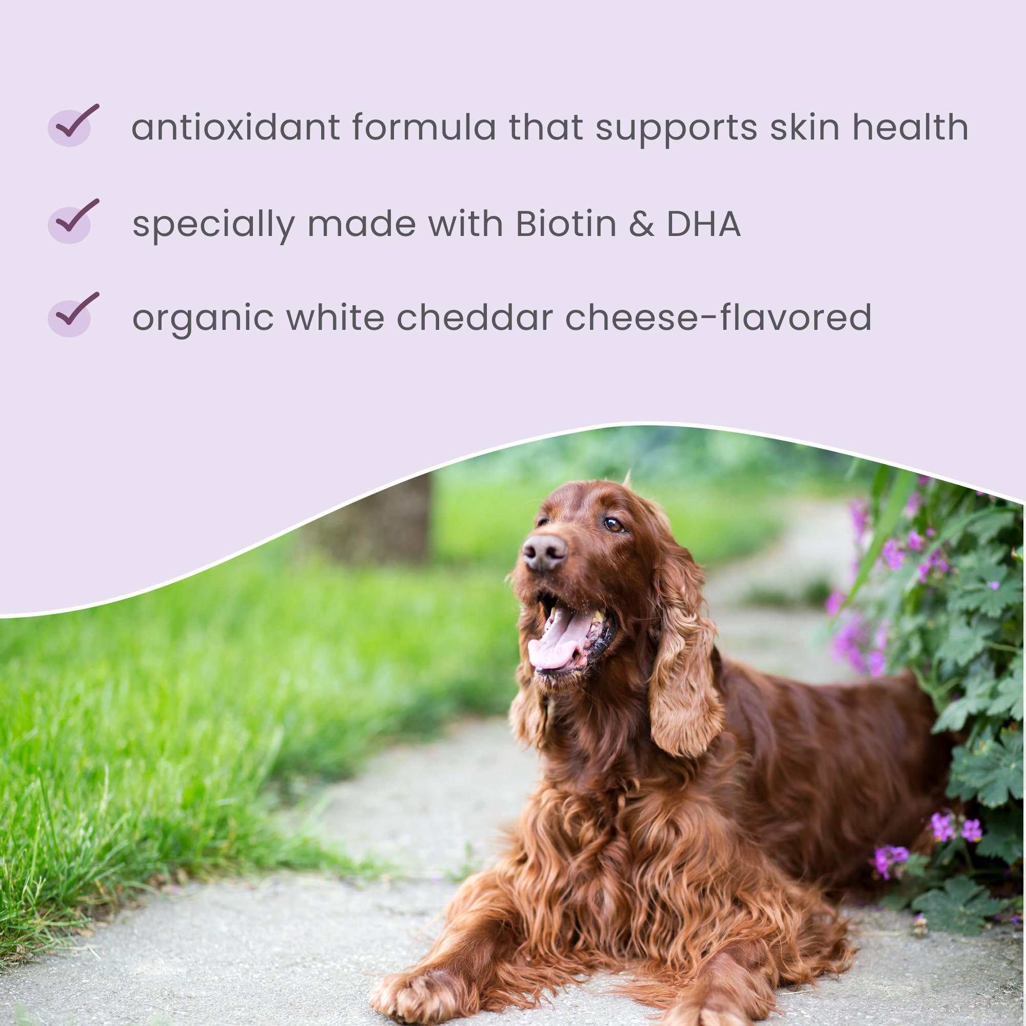 DR MERCOLA Bark & Whiskers Skin Support Bites, 6.34 oz, 1 Bag, Gluten Free, Soy Free, Non-GMO - Image 6