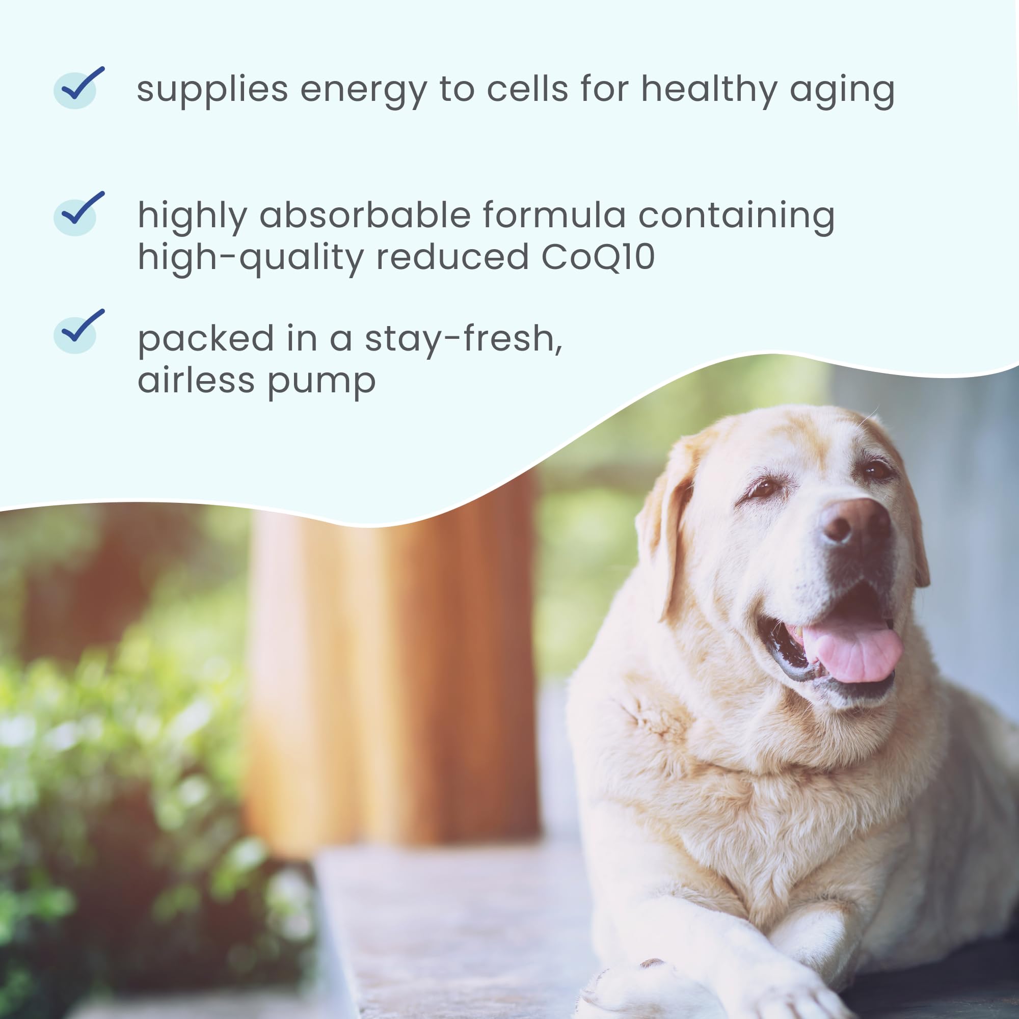 Dr. Mercola Bark & Whiskers Ubiquinol Liquid Pump for Dogs & Cats, 1.45 Fl. Oz. (43 mL), 149 Pumps, Supports Healthy Immune Function, Veterinarian Formulated, Non-GMO - Image 4