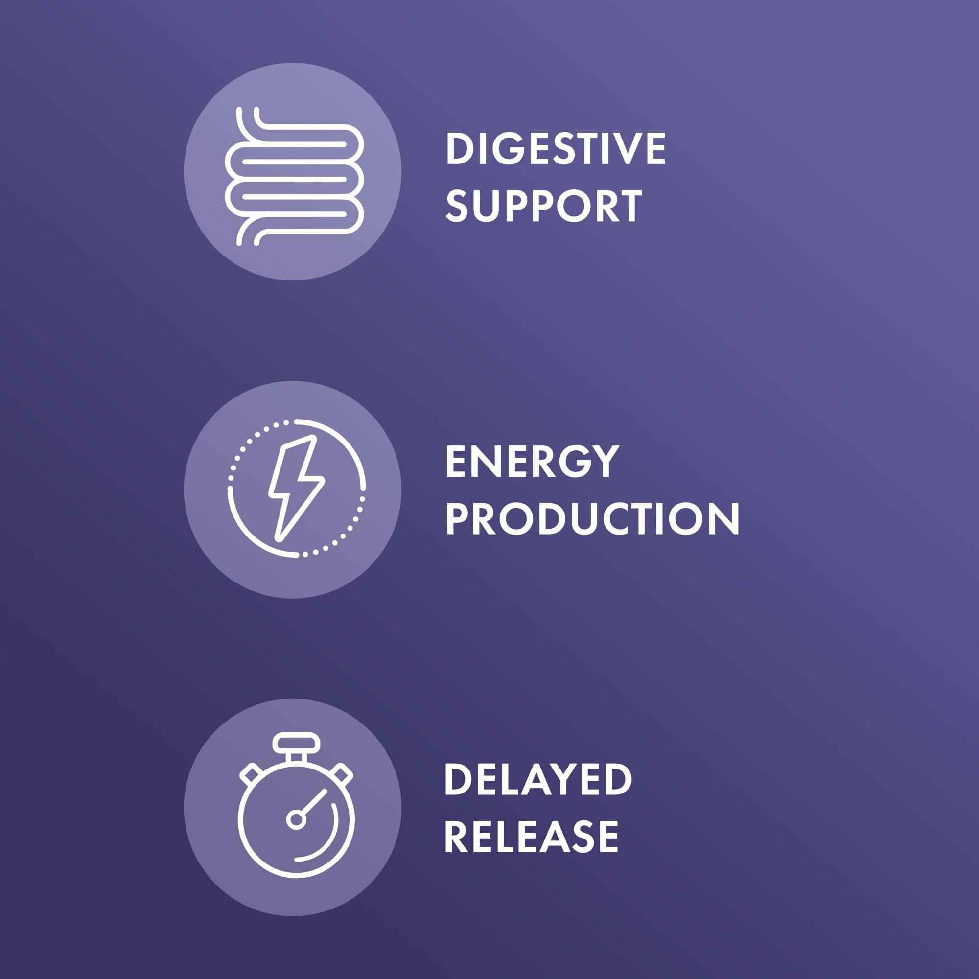 Dr. Mercola Gallbladder Enzymes - Gallbladder & Digestive Health Support - Includes Pancreatic Protease, Amylase & Lipase - Non-GMO, Gluten-Free & Soy-Free - 30 Delayed Release Capsules (30 Servings) - Image 3