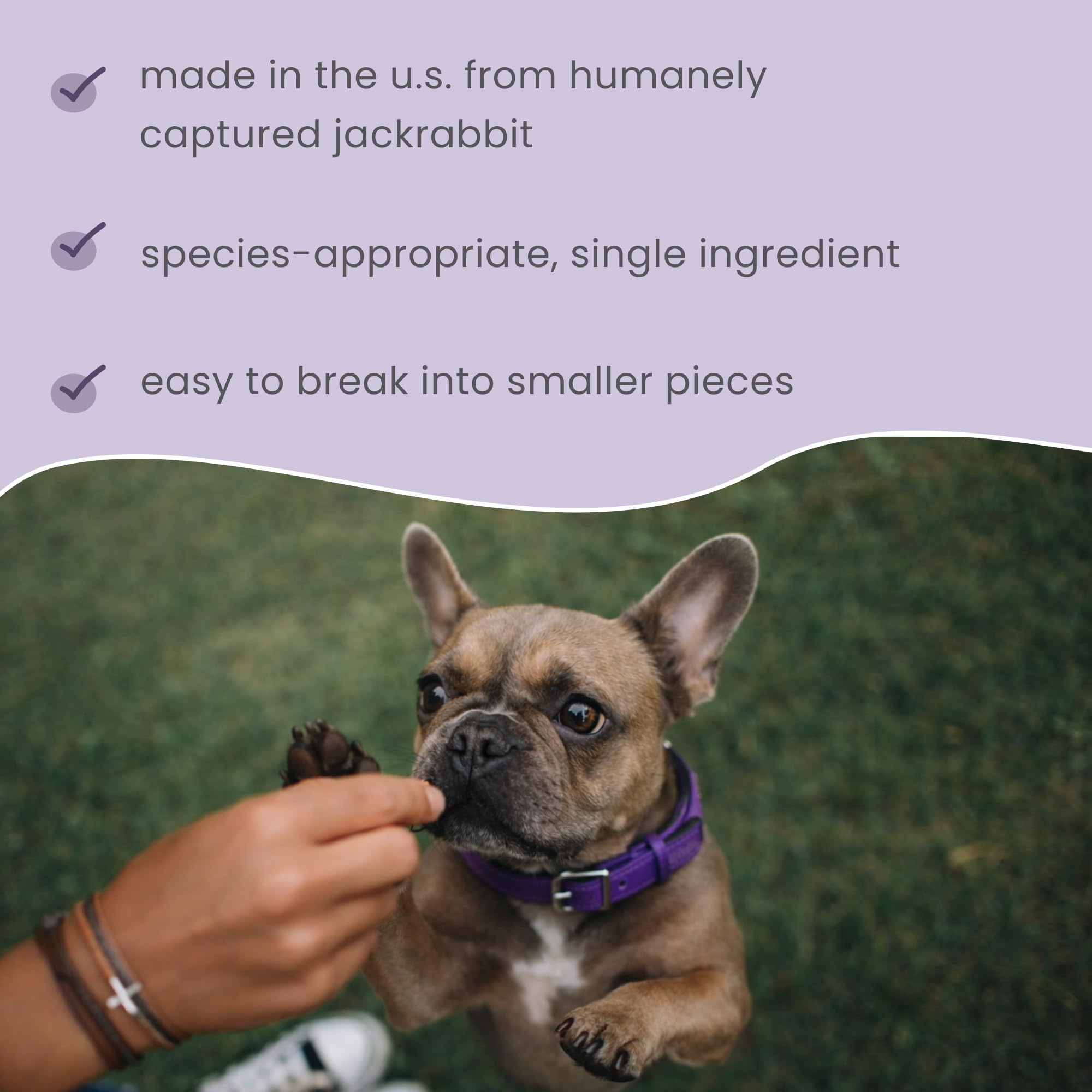 Dr. Mercola Jackrabbit Jerky for Dogs, 4 oz. (113g), Made with Wild Jackrabbit, Non GMO, Gluten Free, Soy Free - Image 5