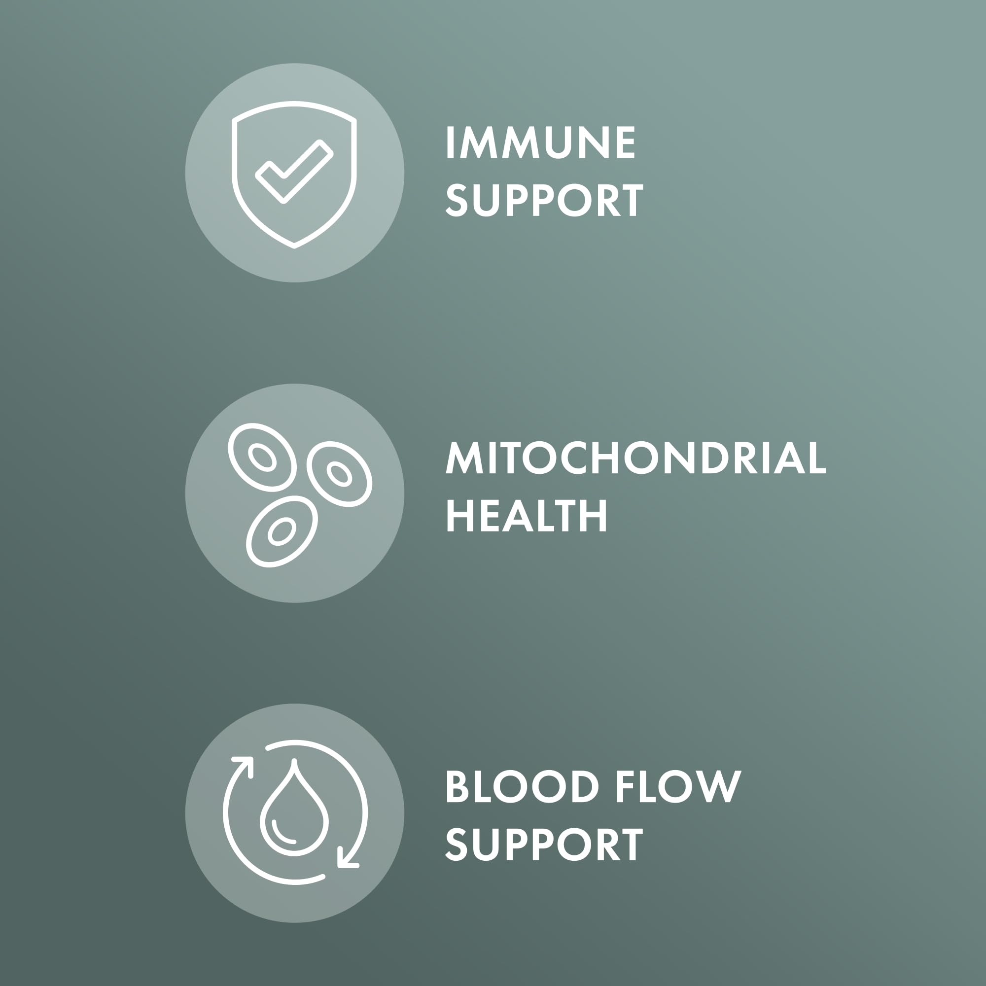 Dr. Mercola Organic Chaga Mushroom - Immune Support - Adaptogenic Blend with Chaga Extract & Chaga Powder - USDA Organic - Gluten-Free - 30 Capsules (30 Servings) - Image 3