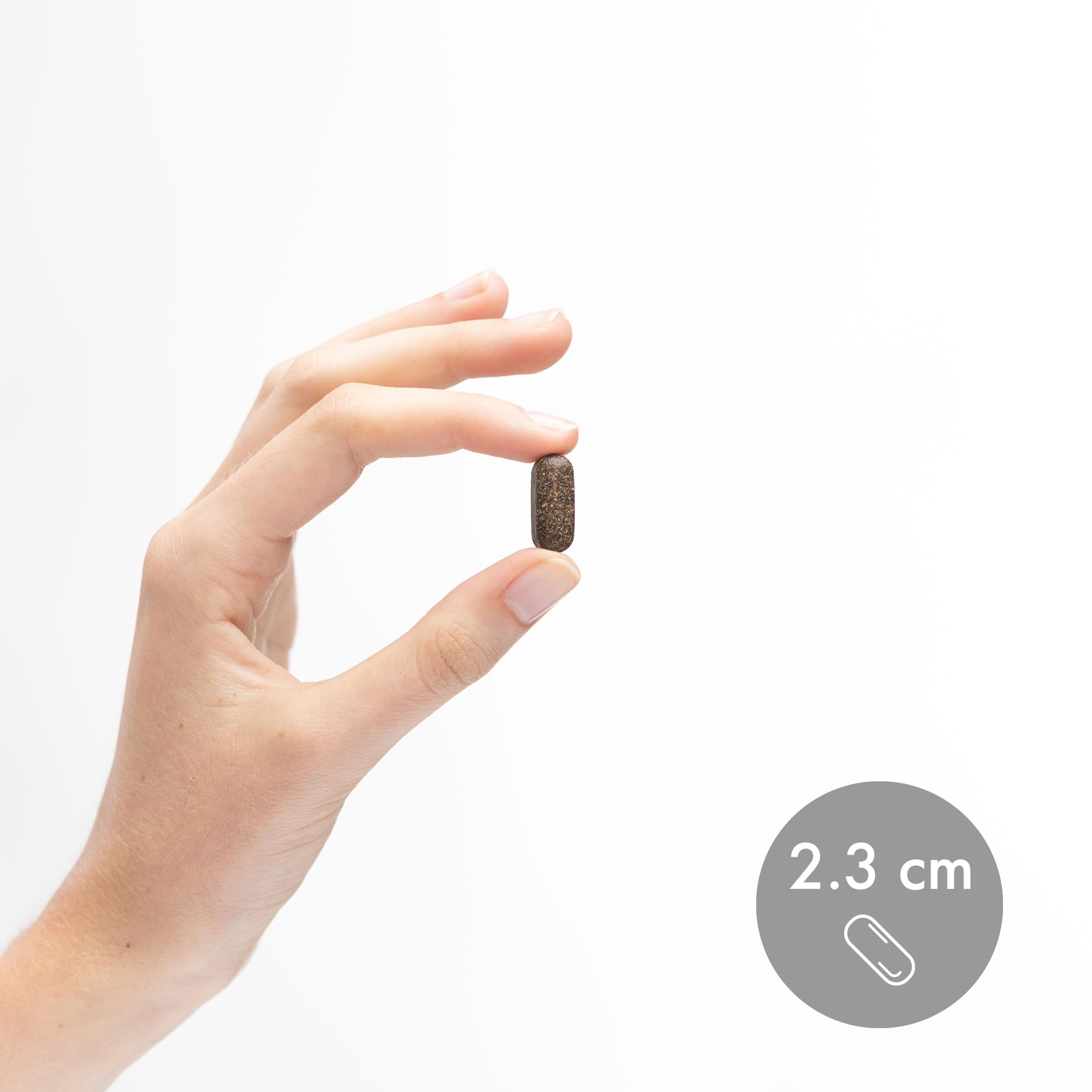 Dr. Mercola Organic Chaga Mushroom - Immune Support - Adaptogenic Blend with Chaga Extract & Chaga Powder - USDA Organic - Gluten-Free - 30 Capsules (30 Servings) - Image 6