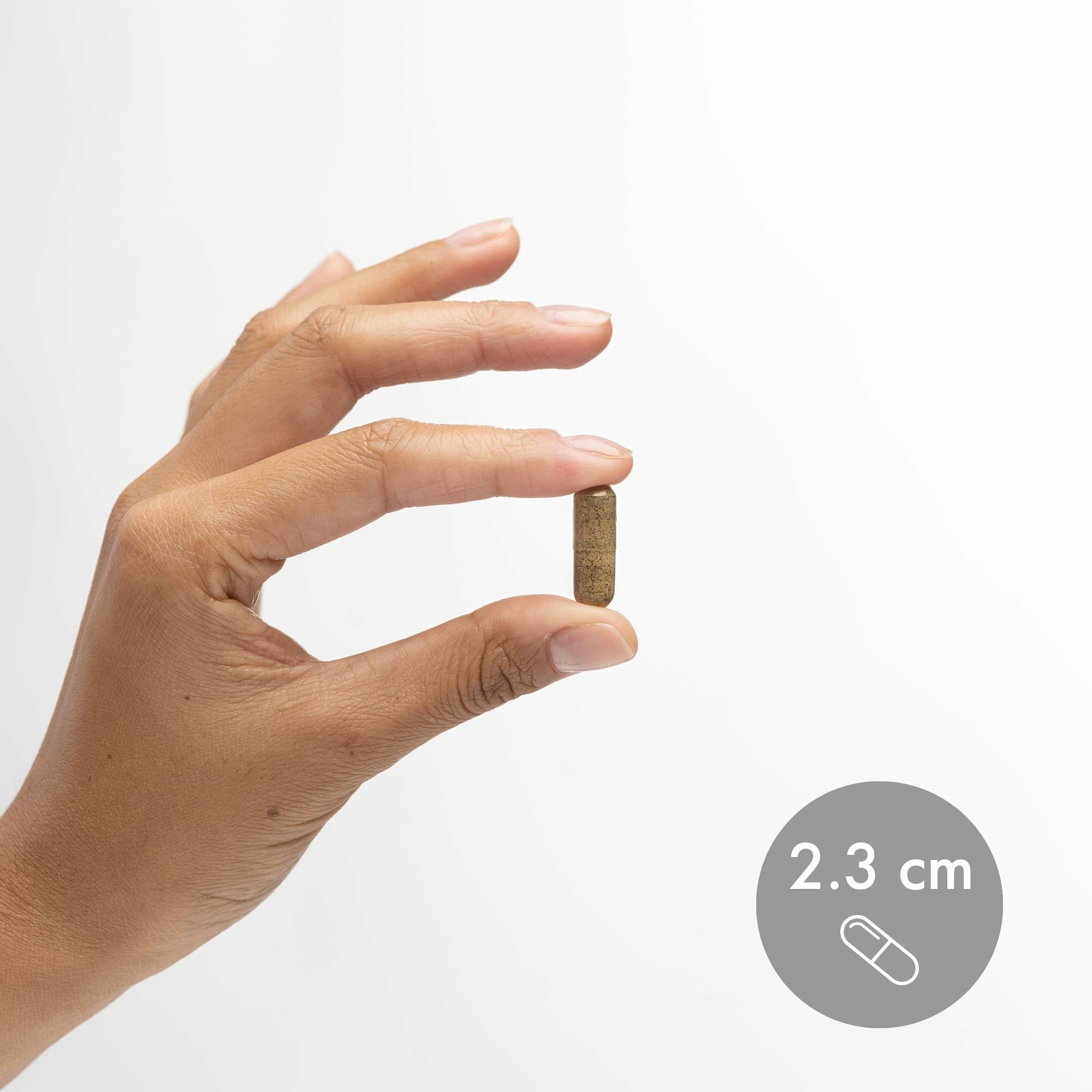 Dr. Mercola Organic Fermented Fruits - Antioxidant Support - Whole Food Berry & Fruit Blend - Zero Sugar - Non-GMO - Gluten-Free - 180 Capsules - Image 6