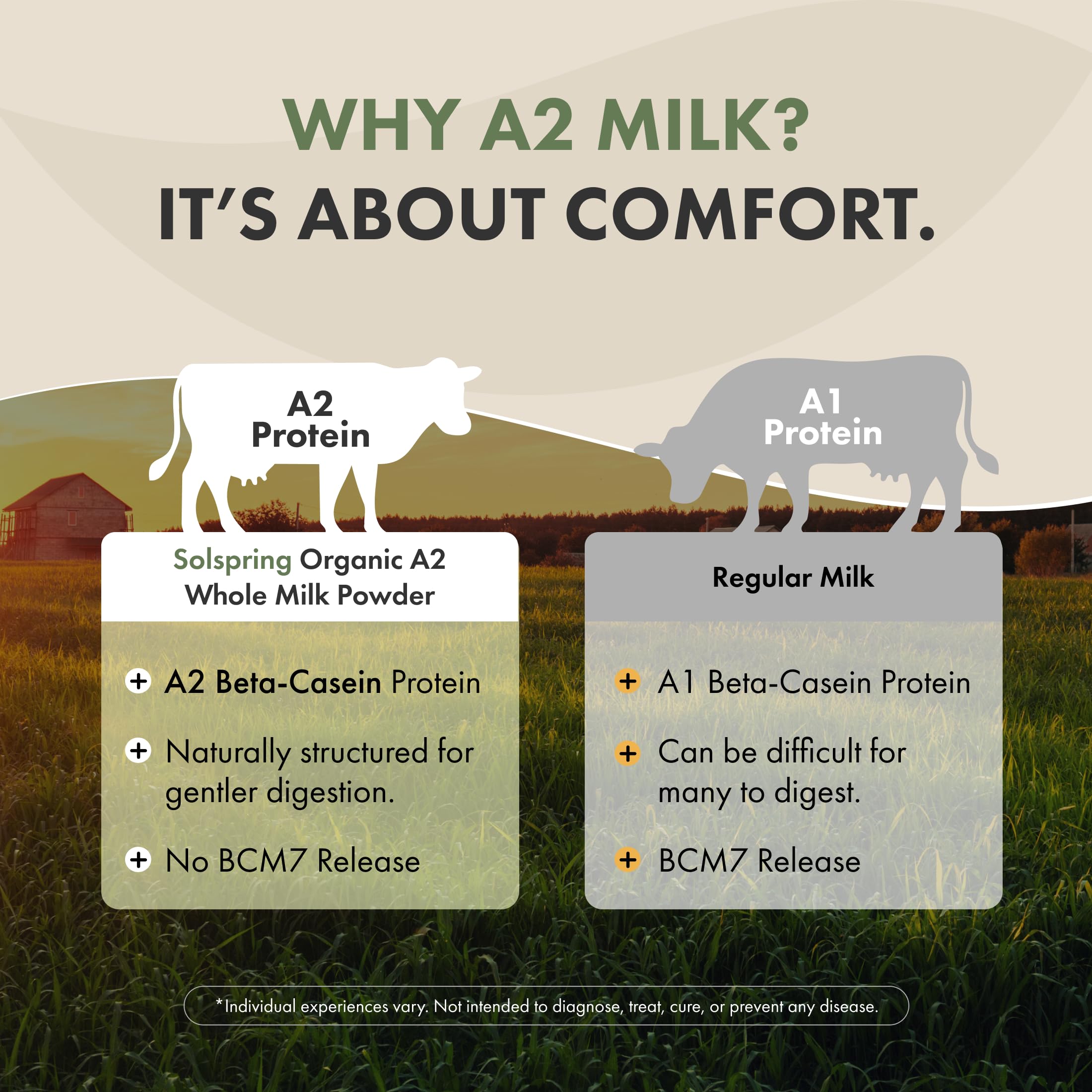 Dr. Mercola Solspring Organic A2 Dry Whole Milk - Powdered Milk with A2 Beta-Casein for Less Digestive Discomfort - Organic, Gluten-Free & Soy-Free - Original Flavor - 17.4 oz (15 Servings) - Image 4