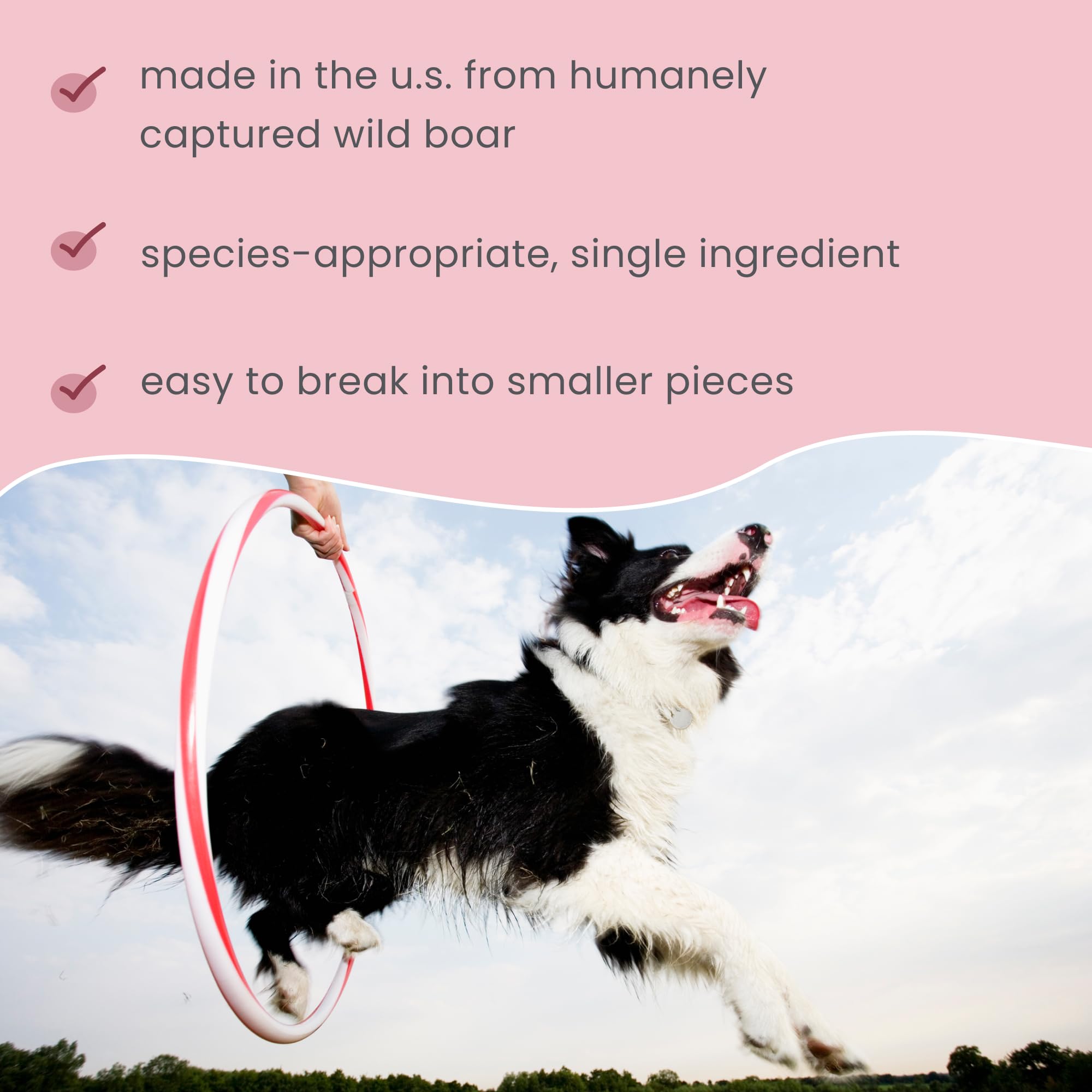 Dr. Mercola Wild Boar Jerky for Dogs and Cats, 4 oz. (113g), Made with Wild Boar, Non GMO, Gluten Free, Soy Free - Image 4